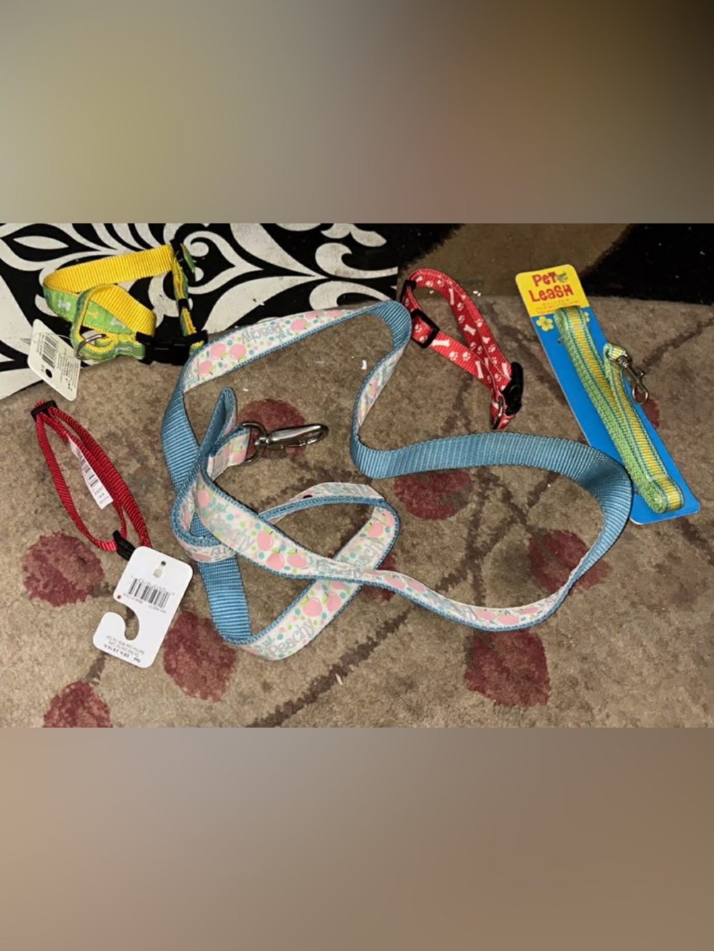 Peach Print Dog Leash with Blue Webbing get all 5